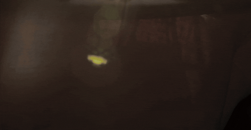 who we are video Video